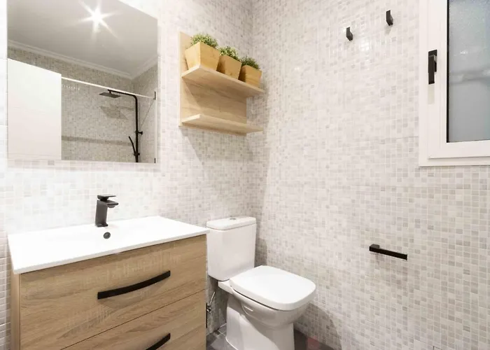 The Collection - San Martin Ii *